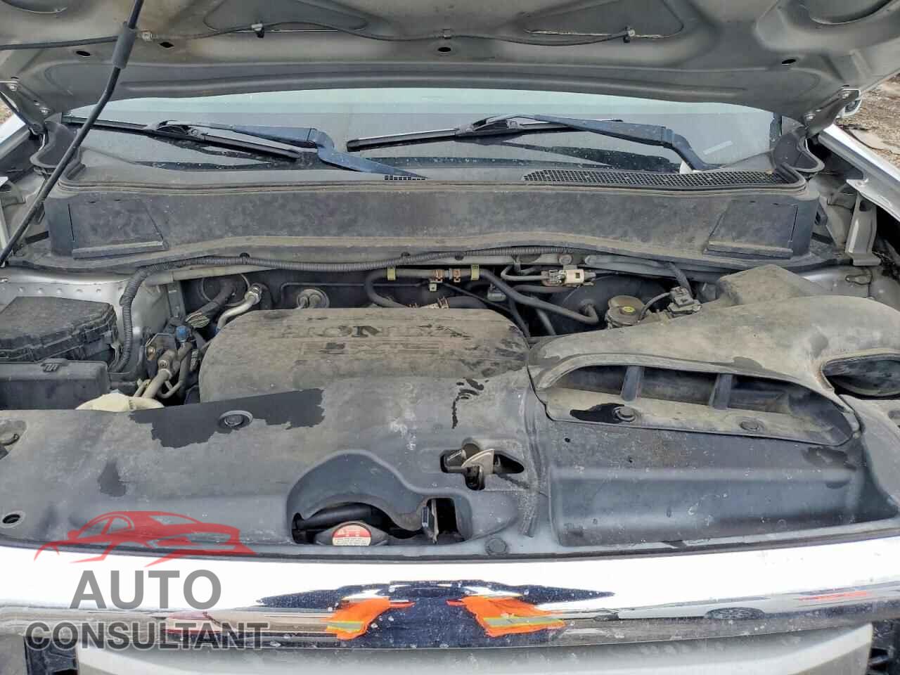 HONDA PILOT 2011 - 5FNYF4H41BB081384