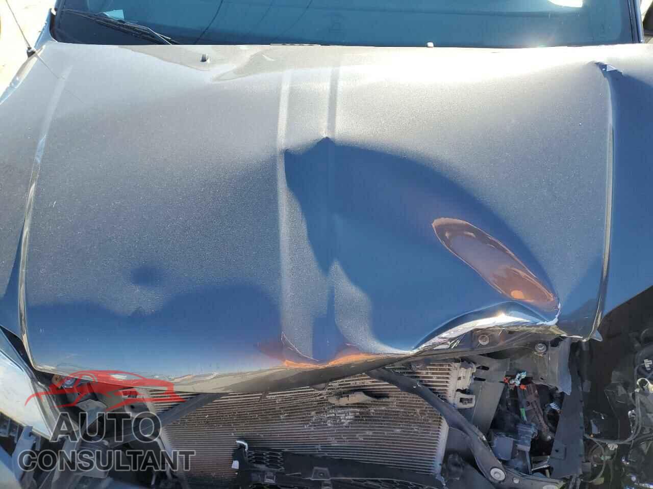 DODGE CARAVAN 2019 - 2C4RDGCG2KR717652