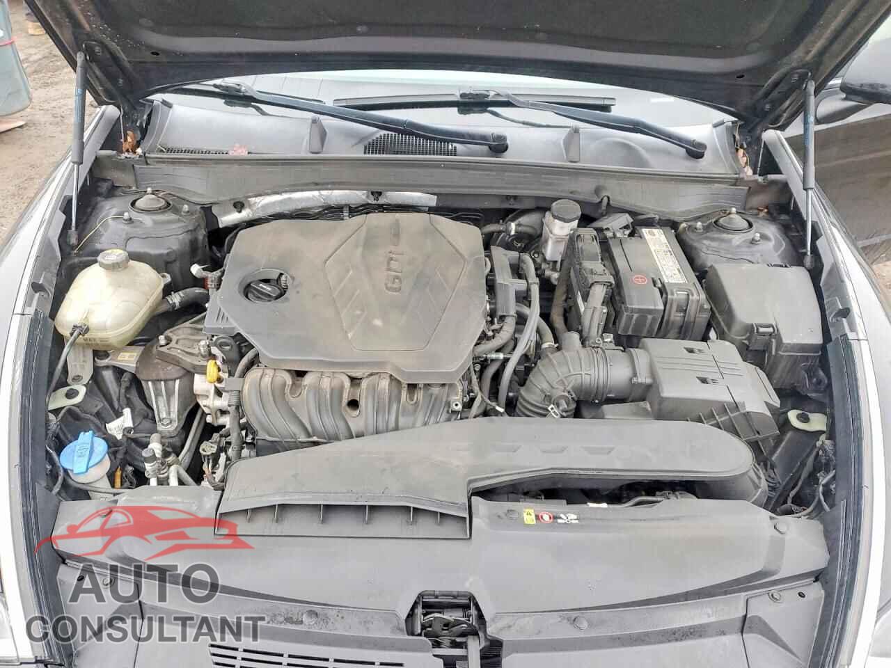 HYUNDAI SONATA 2020 - 5NPEG4JA9LH024059