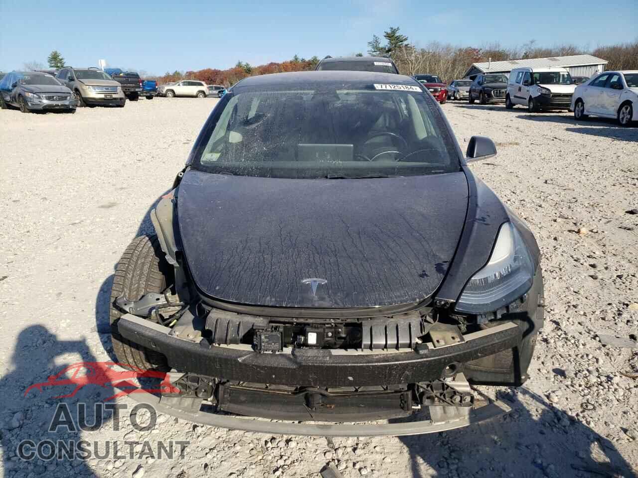 TESLA MODEL 3 2019 - 5YJ3E1EB5KF205638