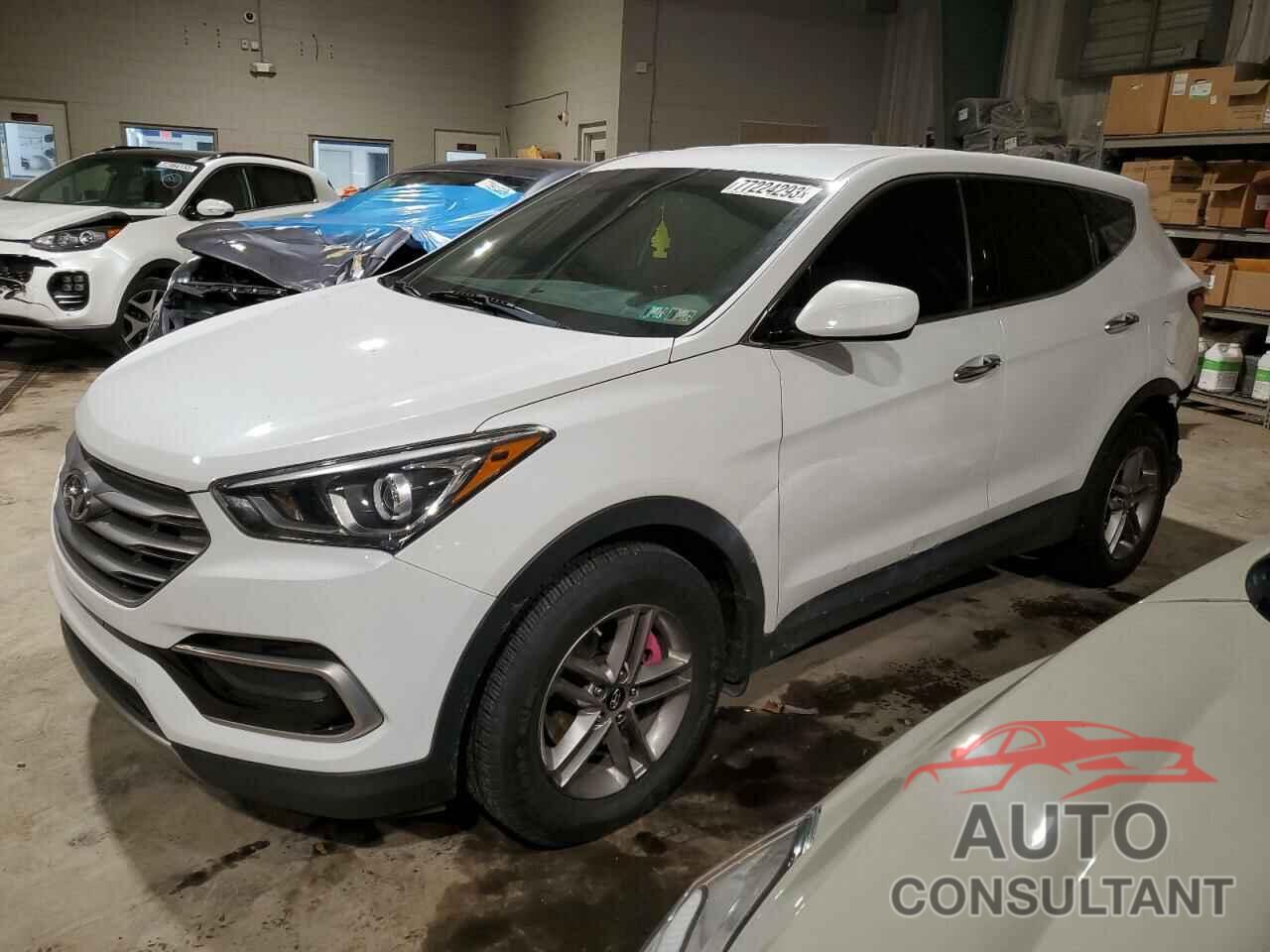 HYUNDAI SANTA FE 2017 - 5NMZTDLB9HH016163