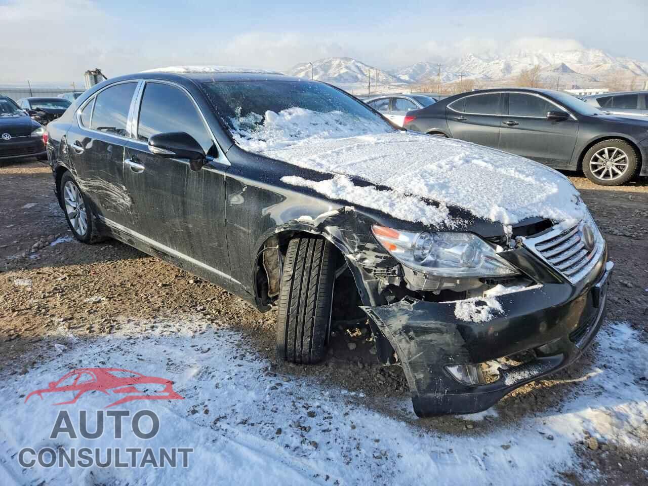 LEXUS LS 460 2011 - JTHCL5EF1B5010684