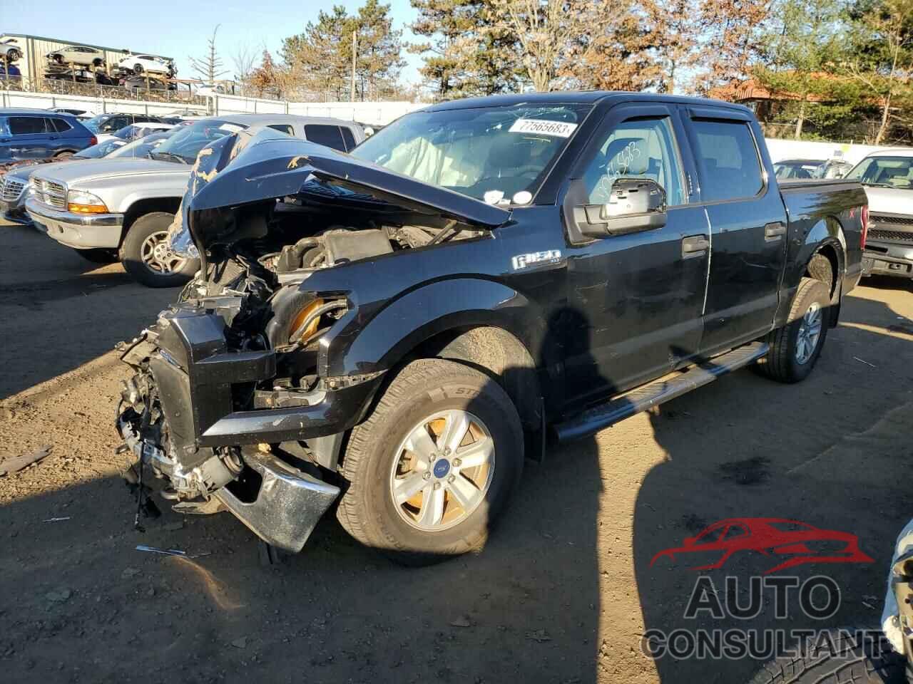 FORD F-150 2016 - 1FTEW1E81GKF86795