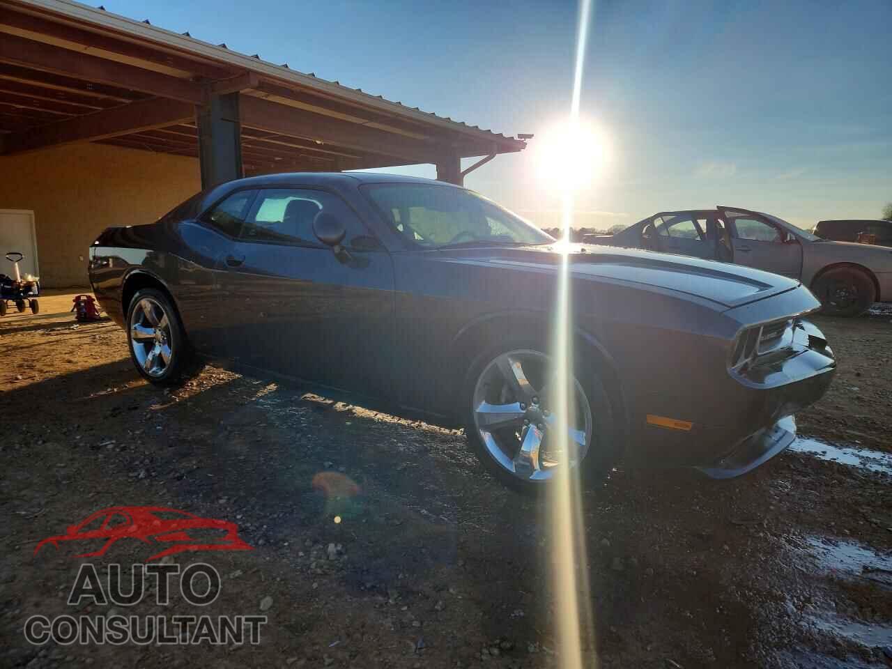 DODGE CHALLENGER 2014 - 2C3CDYAGXEH251255