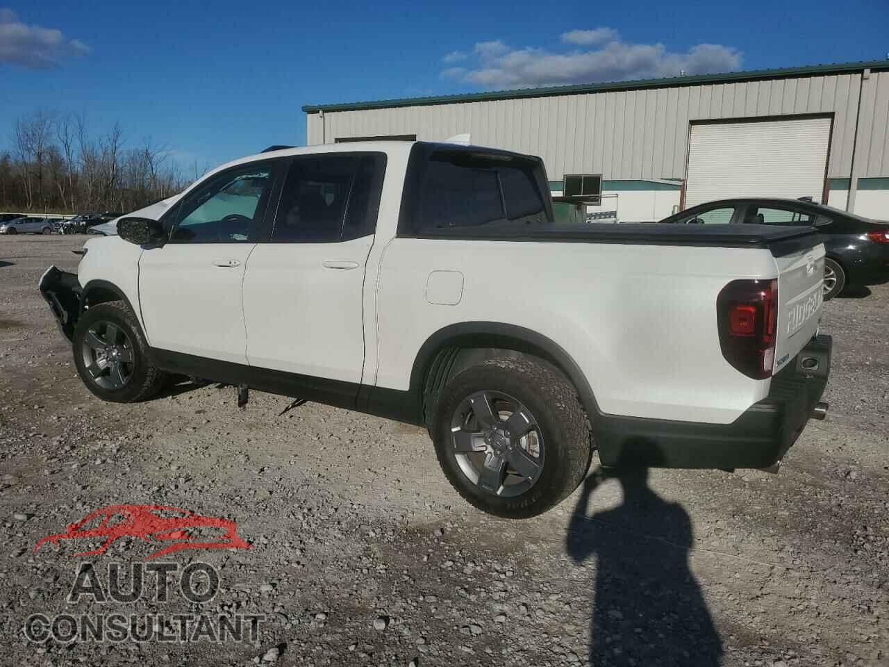 HONDA RIDGELINE 2024 - 5FPYK3F63RB008948