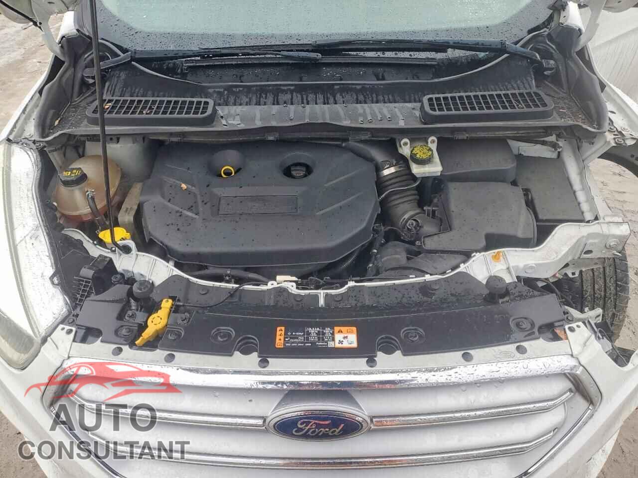FORD ESCAPE 2017 - 1FMCU9G96HUA15998