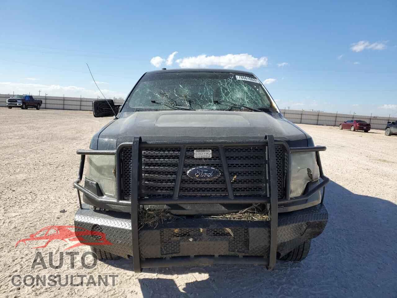 FORD F-150 2011 - 1FTFW1EF0BFB10669
