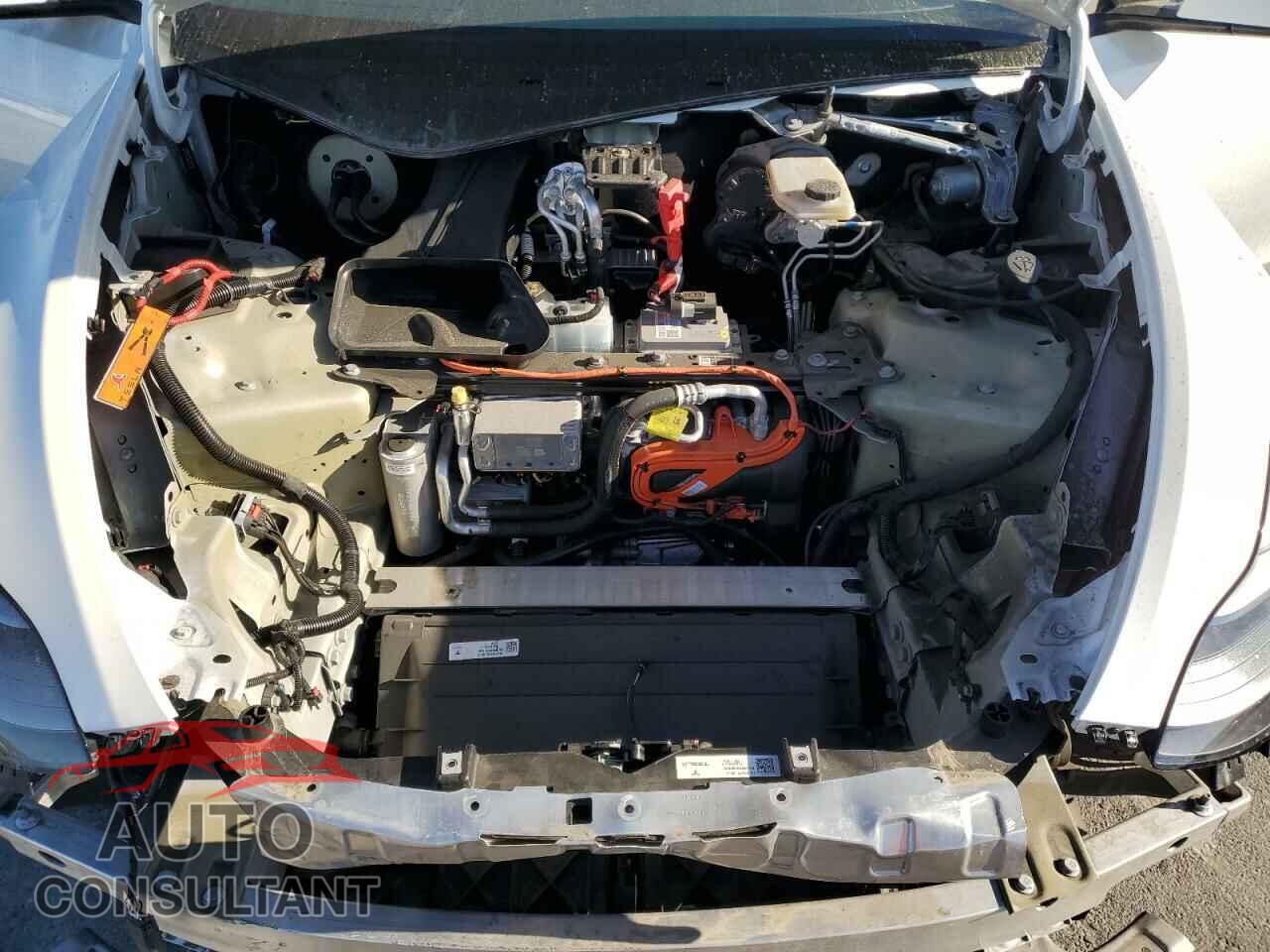 TESLA MODEL Y 2024 - 7SAYGAEE8RF016618