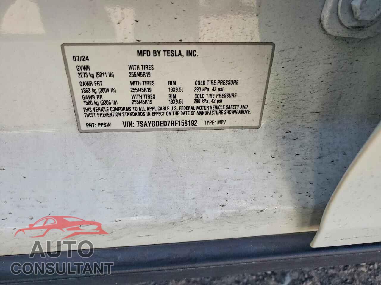 TESLA MODEL Y 2024 - 7SAYGDED7RF158192