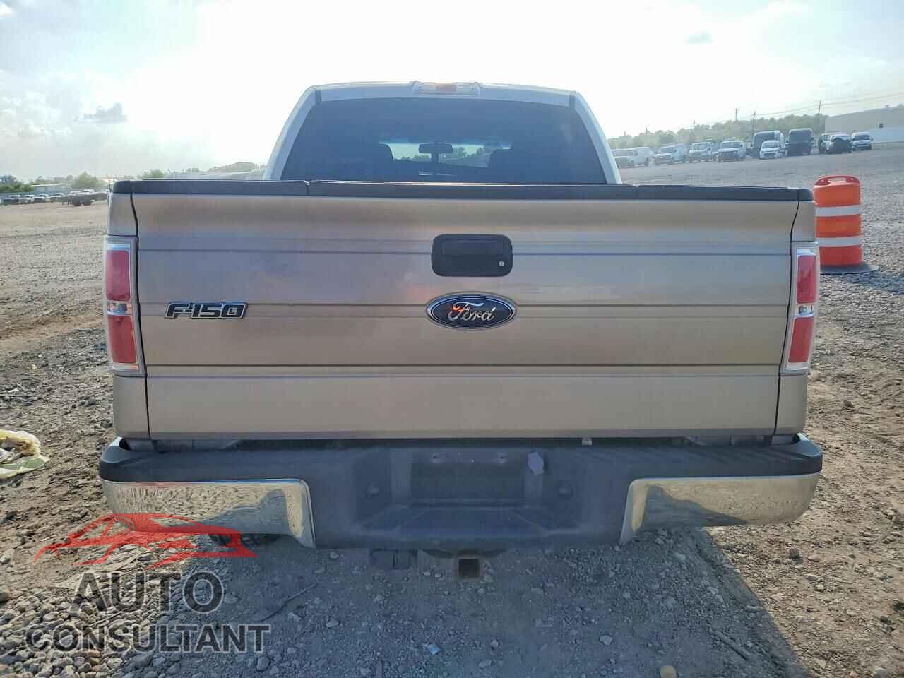 FORD F150 2010 - 1FTEW1E85AFC78478