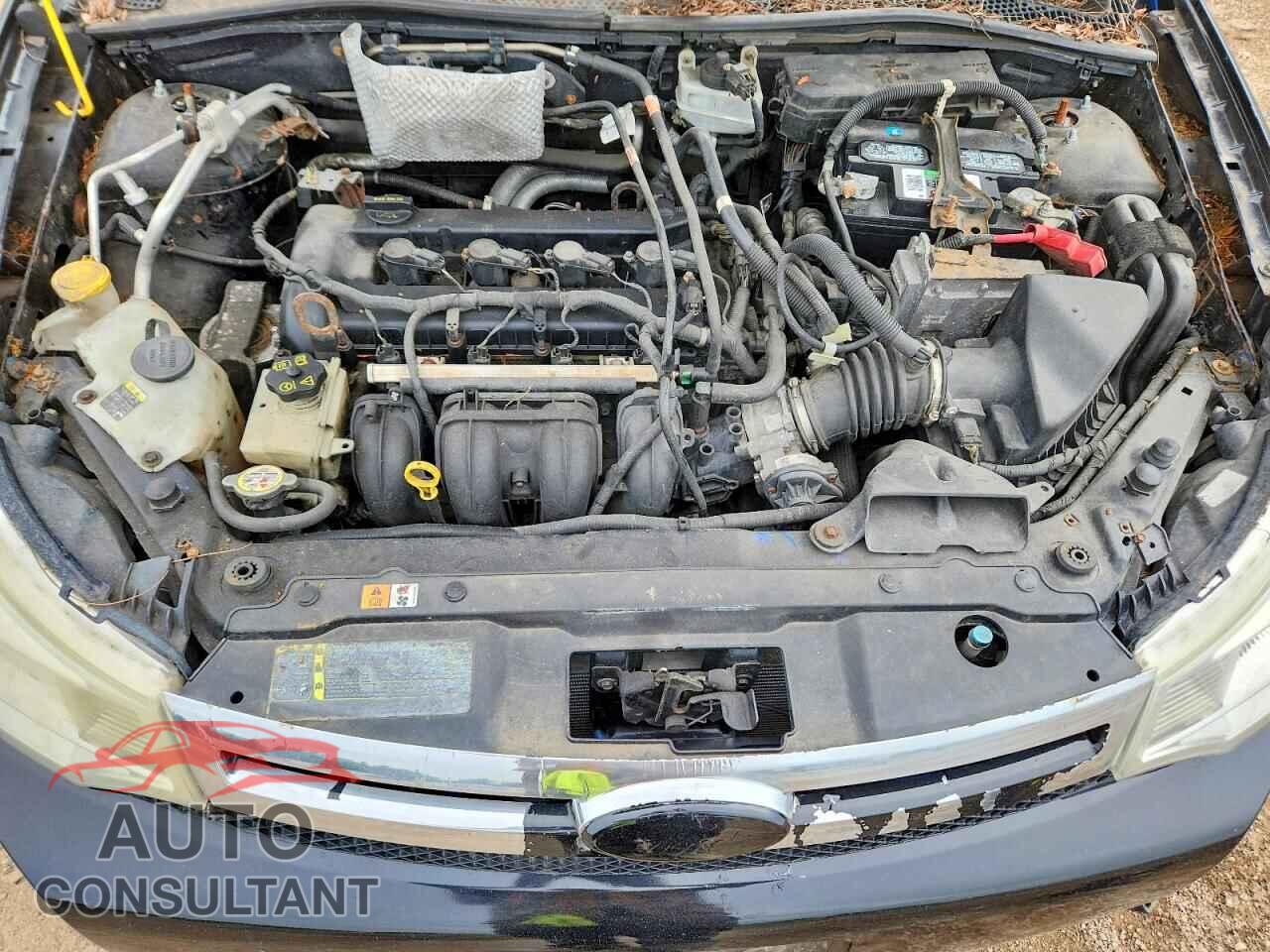 FORD FOCUS 2009 - 1FAHP36N49W117583
