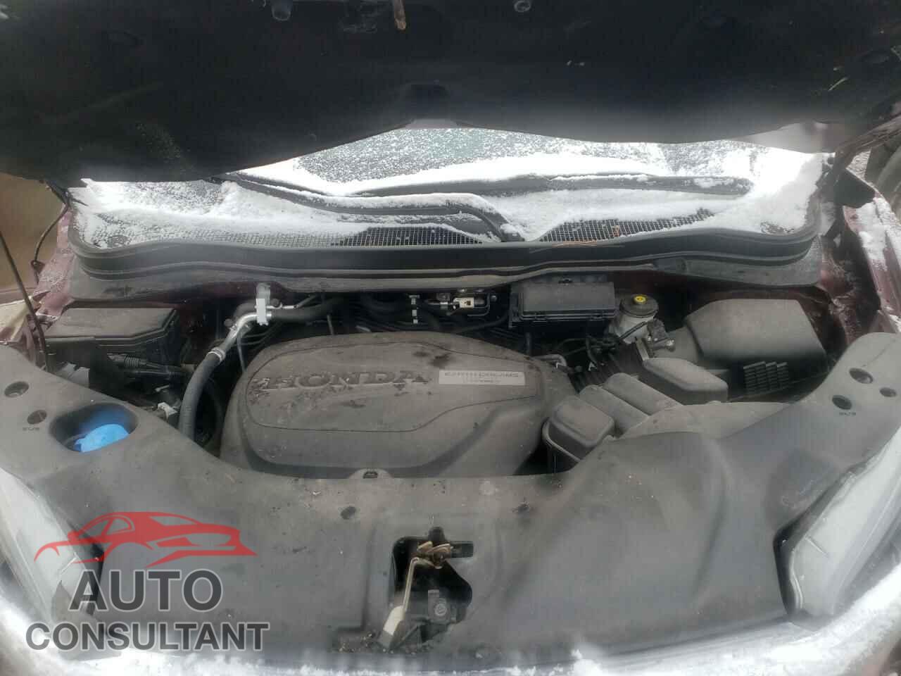 HONDA RIDGELINE 2019 - 5FPYK3F50KB041676