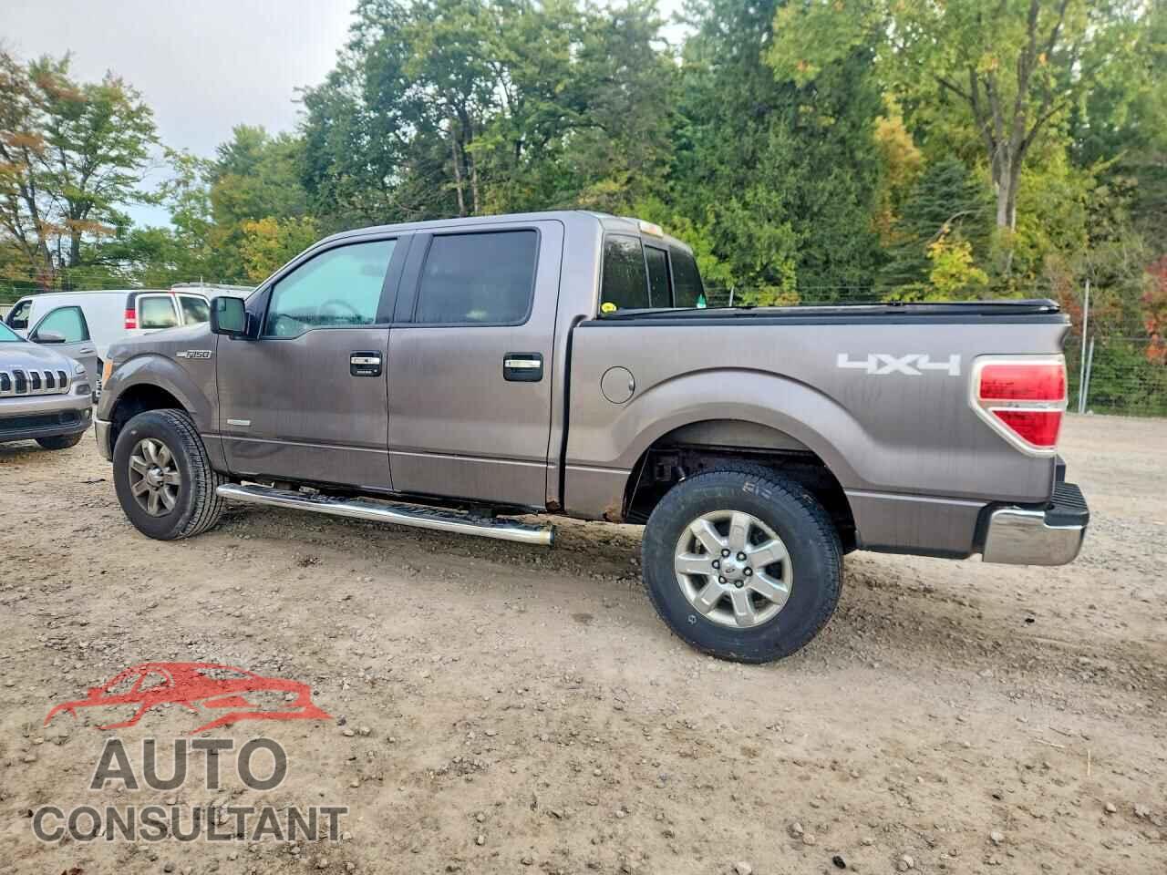 FORD F150 2014 - 1FTFW1ET0EFB58604