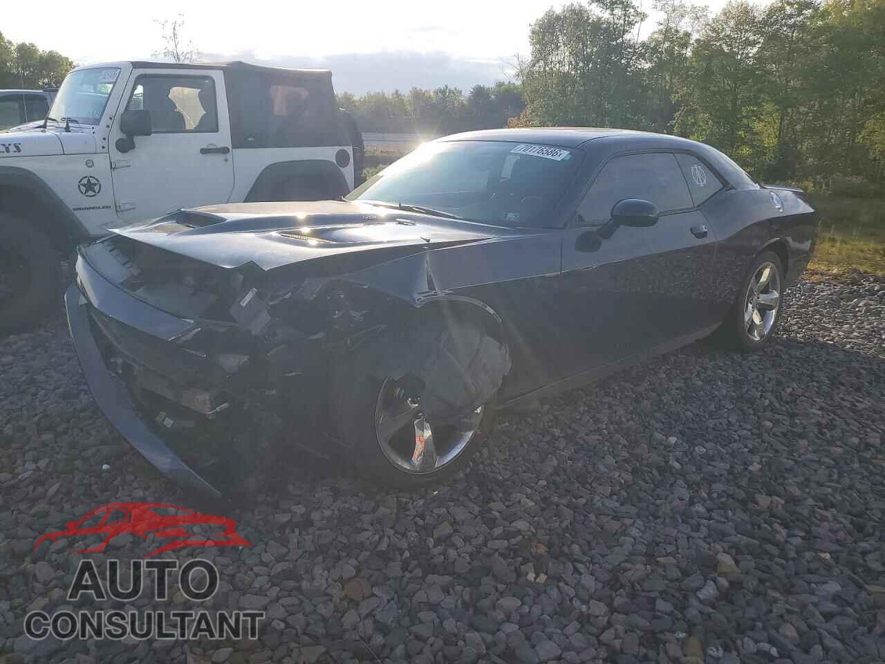 DODGE CHALLENGER 2014 - 2C3CDYBT8EH103990