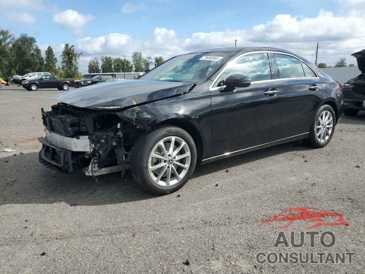 MERCEDES-BENZ A-CLASS 2019 - WDD3G4FB2KW001827