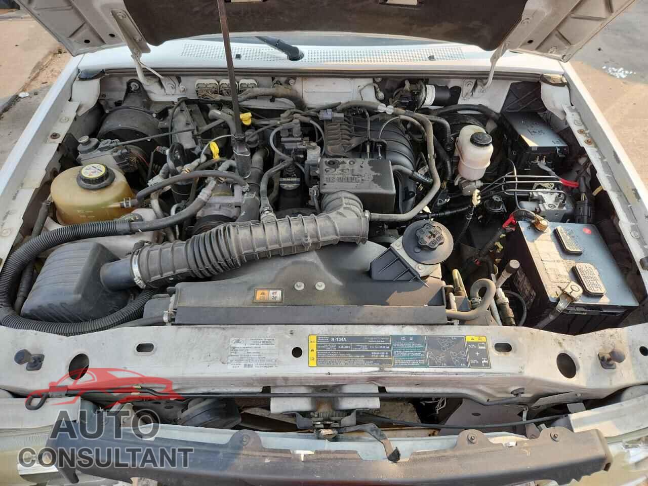 FORD RANGER 2009 - 1FTYR10D09PA11506