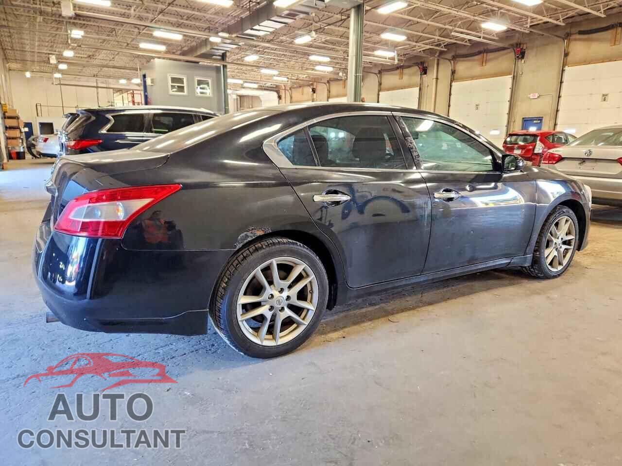NISSAN MAXIMA 2011 - 1N4AA5AP0BC812299