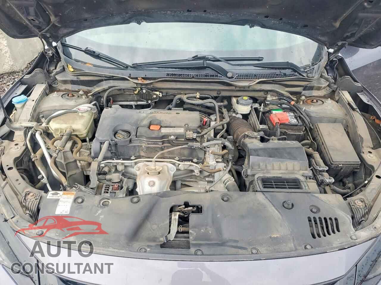 HONDA CIVIC 2019 - 2HGFC2F85KH596412