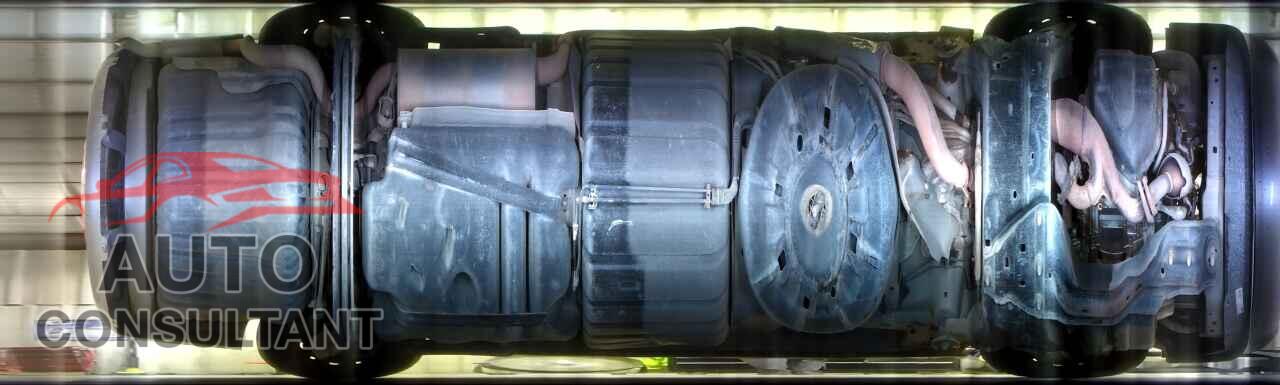 DODGE CARAVAN 2019 - 2C4RDGBG1KR654593