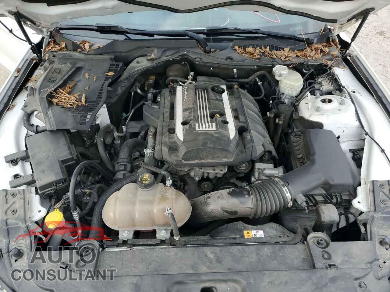 FORD MUSTANG 2017 - 1FA6P8TH9H5234695