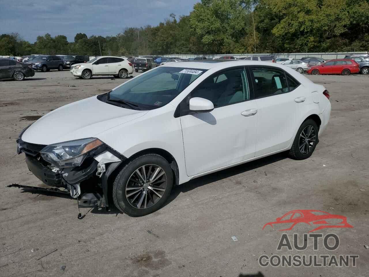 TOYOTA COROLLA 2016 - 2T1BURHE9GC531229