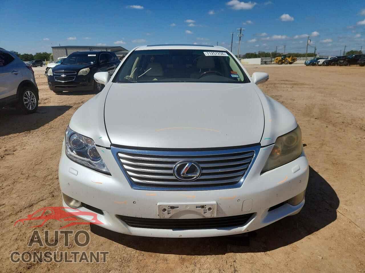 LEXUS LS460 2010 - JTHBL5EF0A5095916