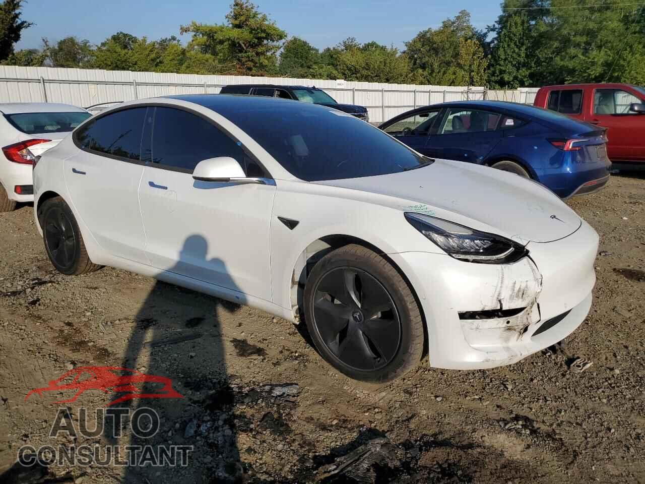 TESLA MODEL 3 2019 - 5YJ3E1EBXKF388177