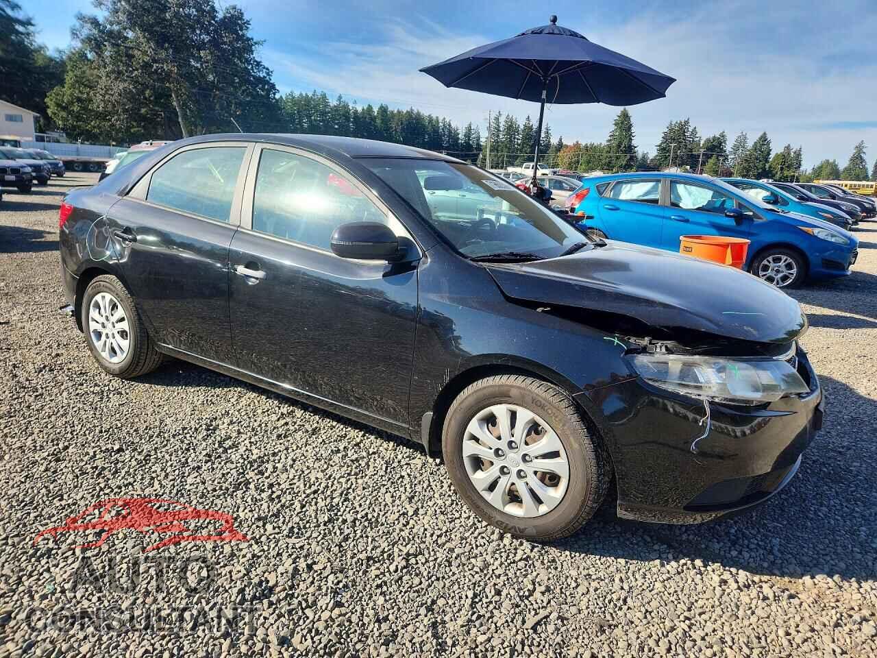 KIA FORTE 2013 - KNAFU4A21D5721598