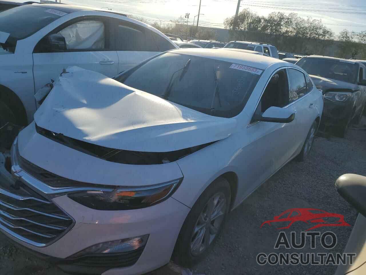 CHEVROLET MALIBU 2019 - 1G1ZD5ST7KF158764