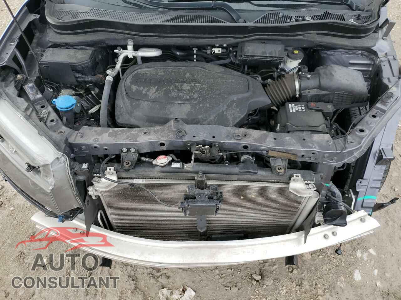 HONDA RIDGELINE 2021 - 5FPYK3F78MB018666