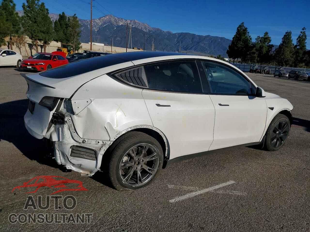 TESLA MODEL Y 2024 - 7SAYGDED8RF153048