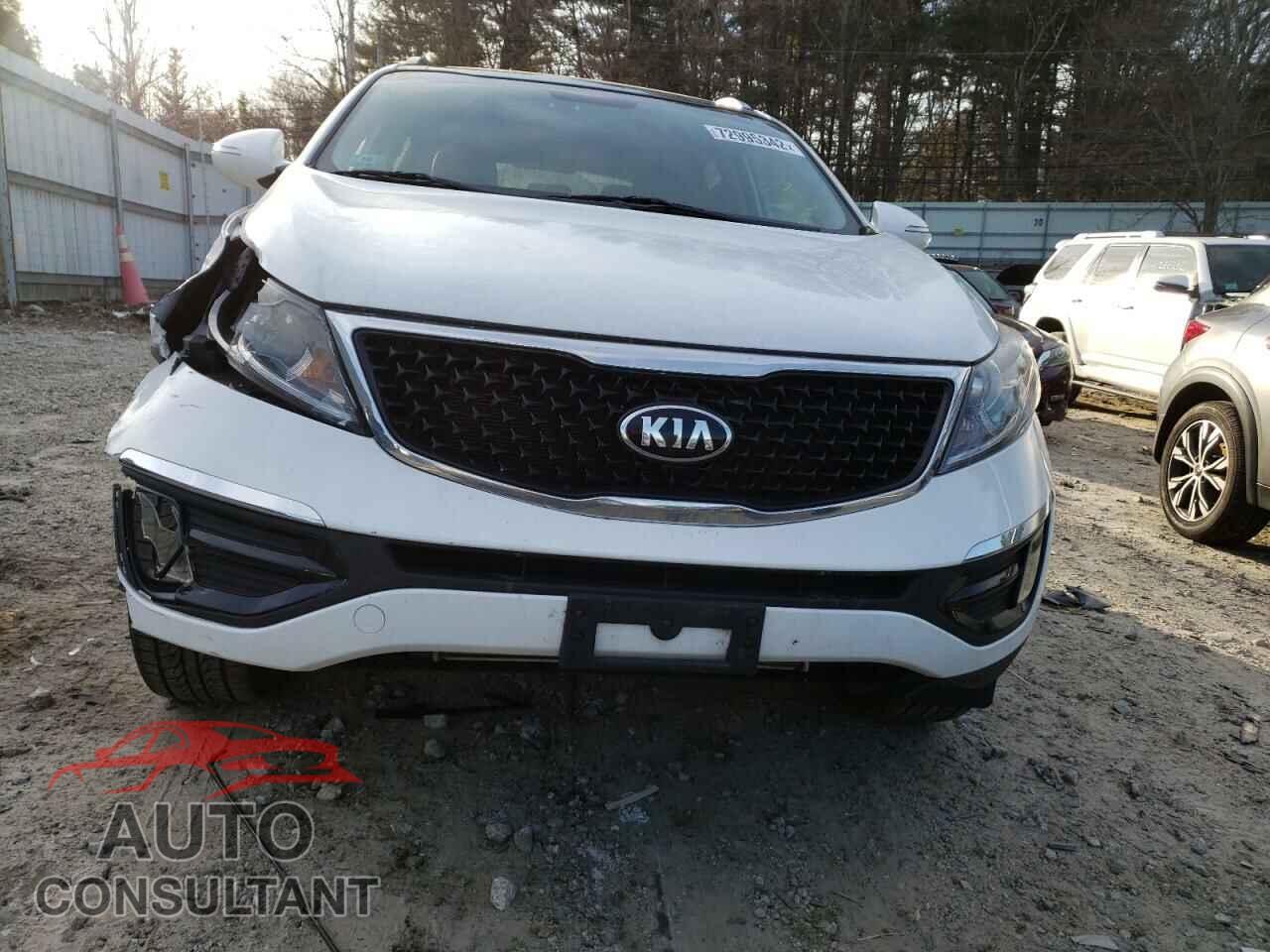 KIA SPORTAGE 2016 - KNDPCCAC4G7846729