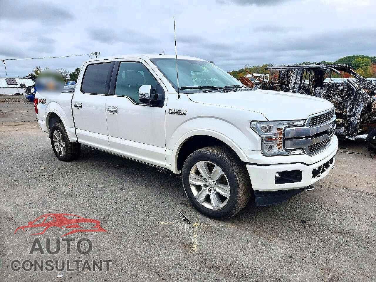 FORD F150 2019 - 1FTEW1E46KFA09100