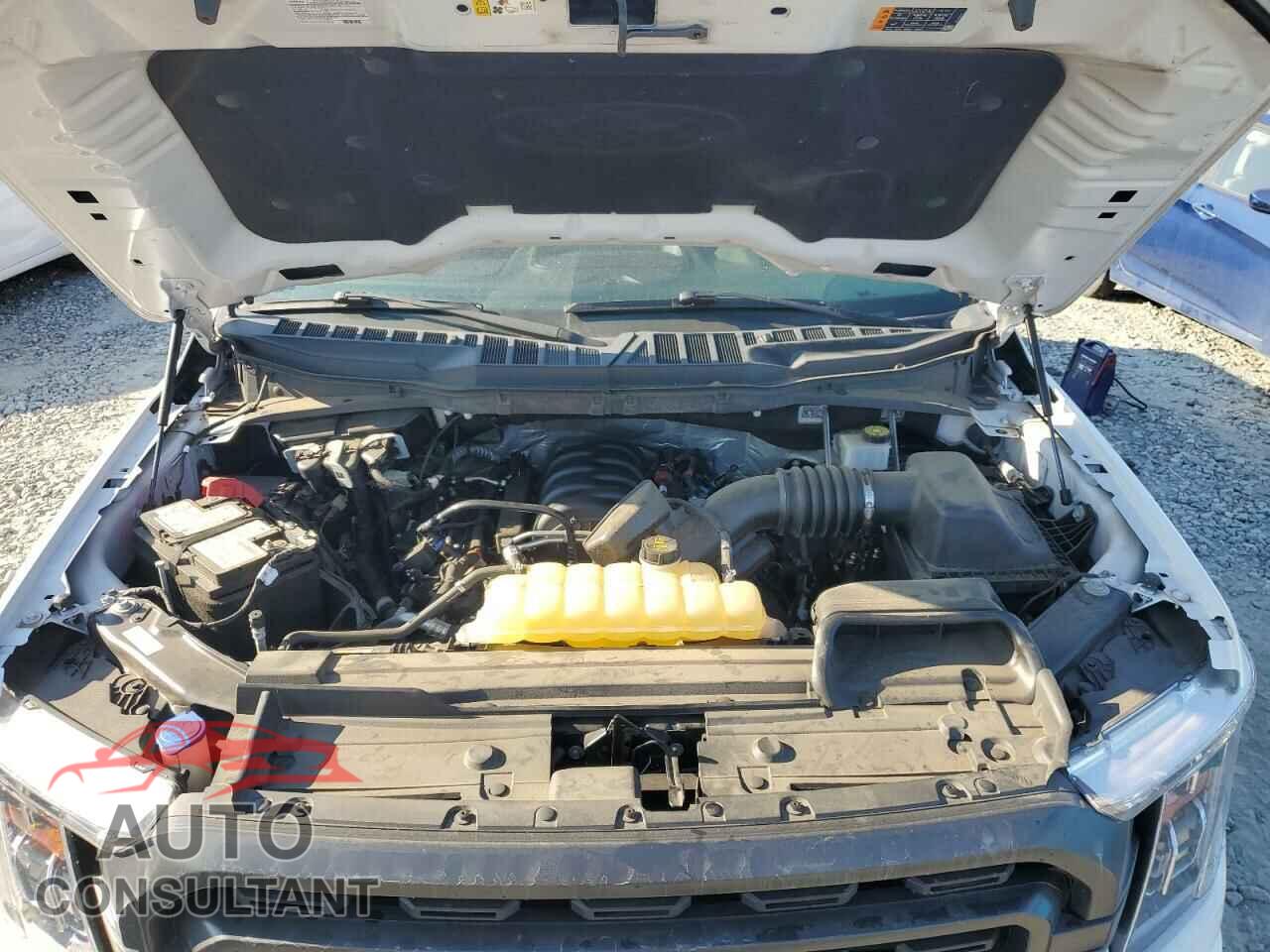 FORD F-150 2021 - 1FTEW1C51MFB51014
