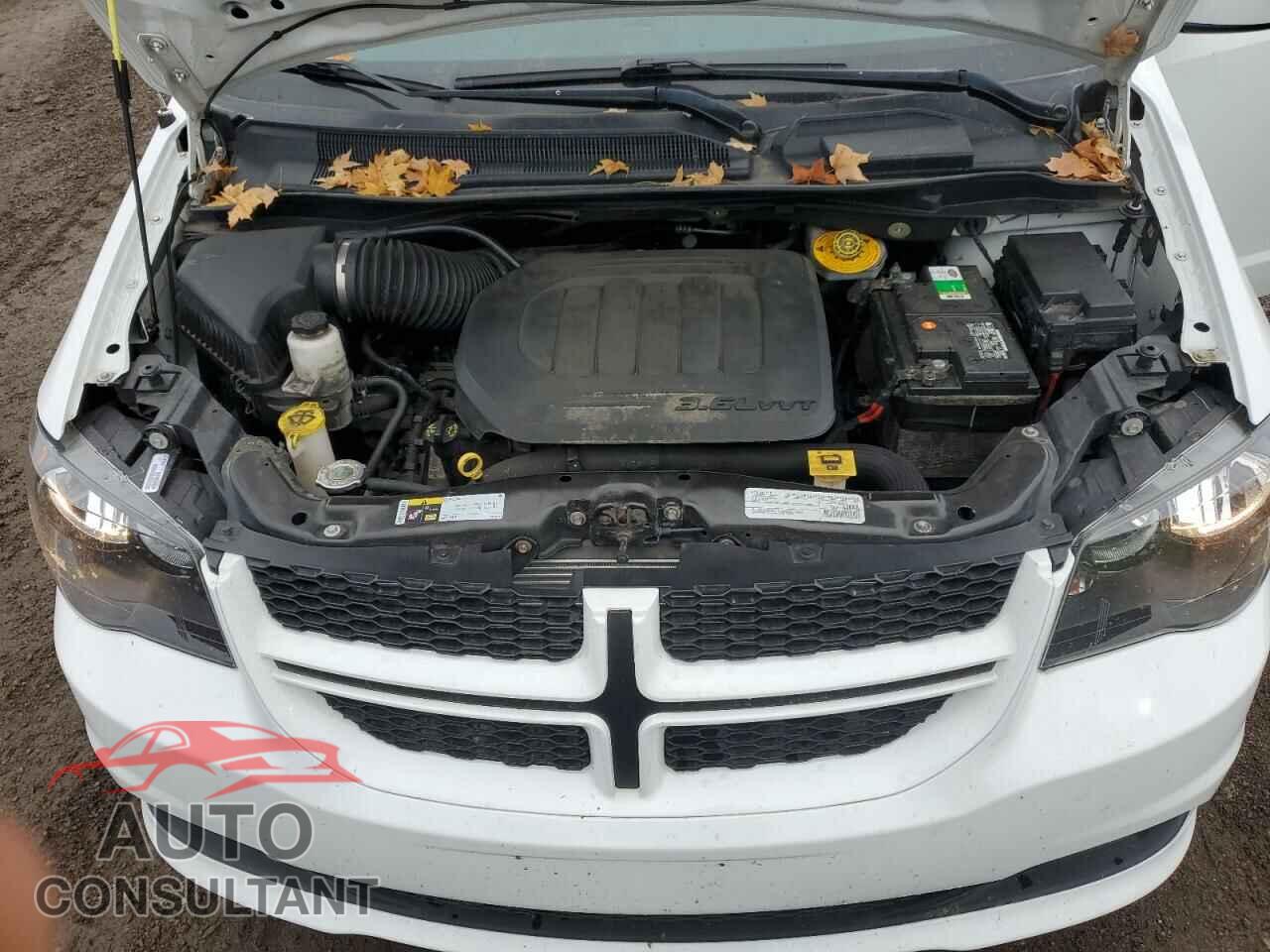 DODGE CARAVAN 2019 - 2C4RDGEG8KR675176