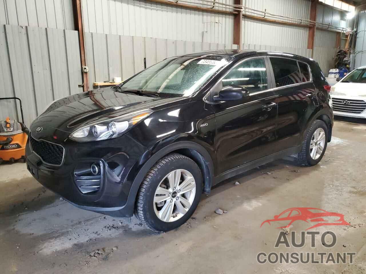 KIA SPORTAGE 2017 - KNDPMCAC2H7294887