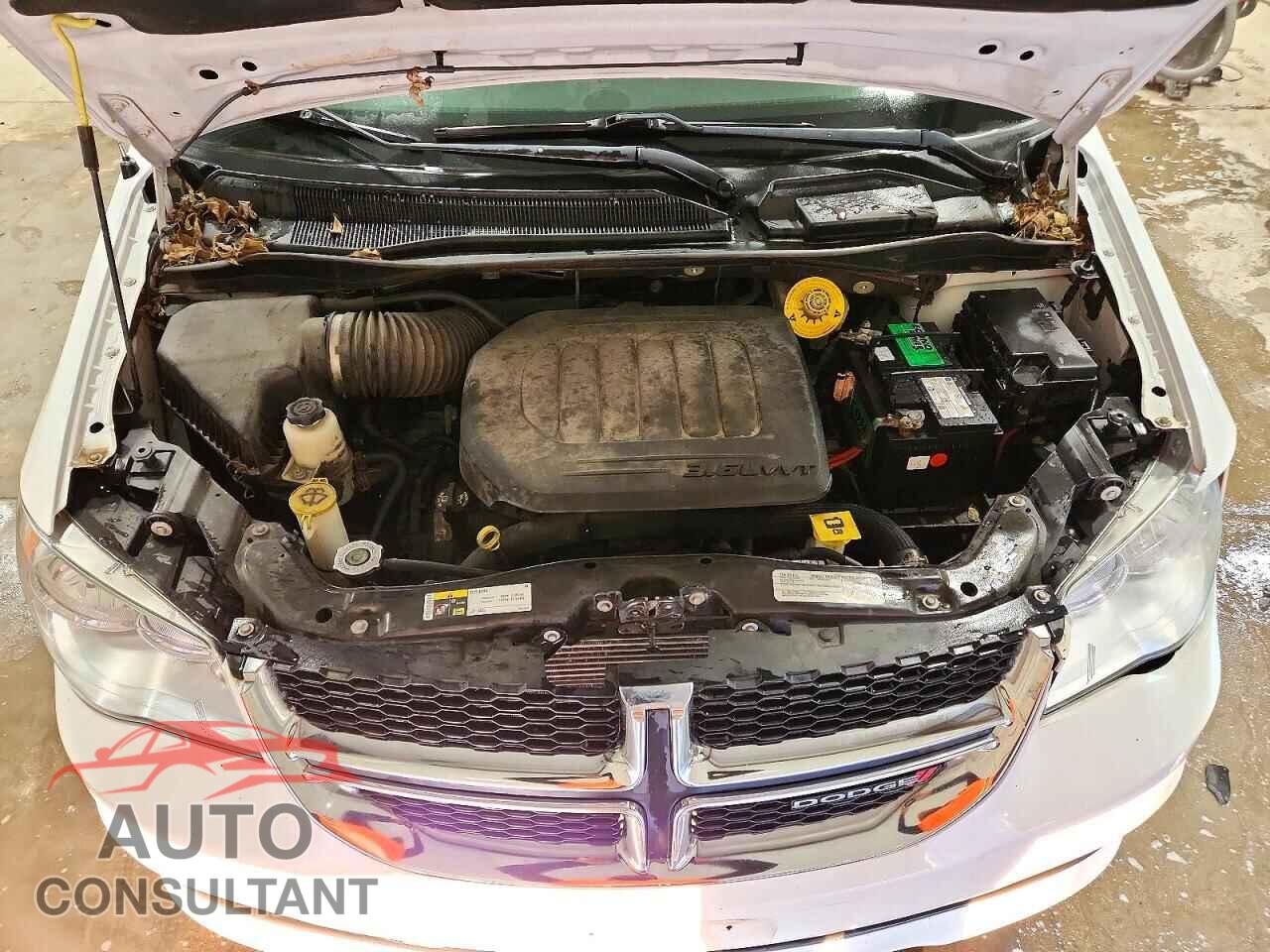 DODGE CARAVAN 2019 - 2C4RDGBG3KR751102