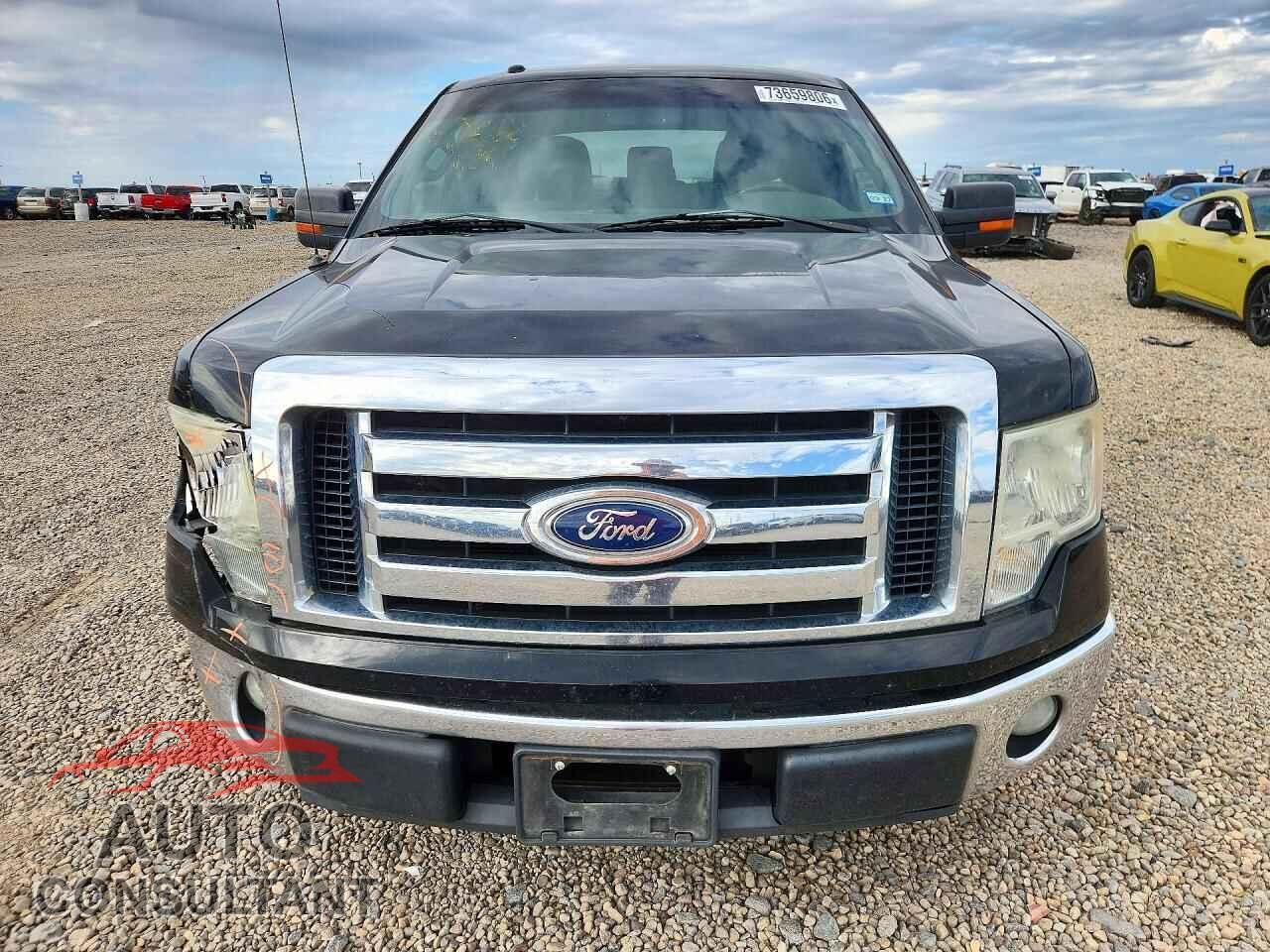 FORD F150 2011 - 1FTFW1CF2BFB93542