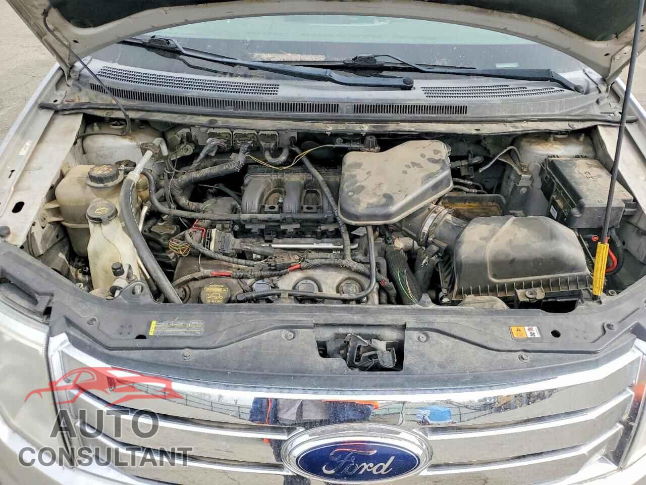 FORD EDGE 2009 - 2FMDK48C09BA95376