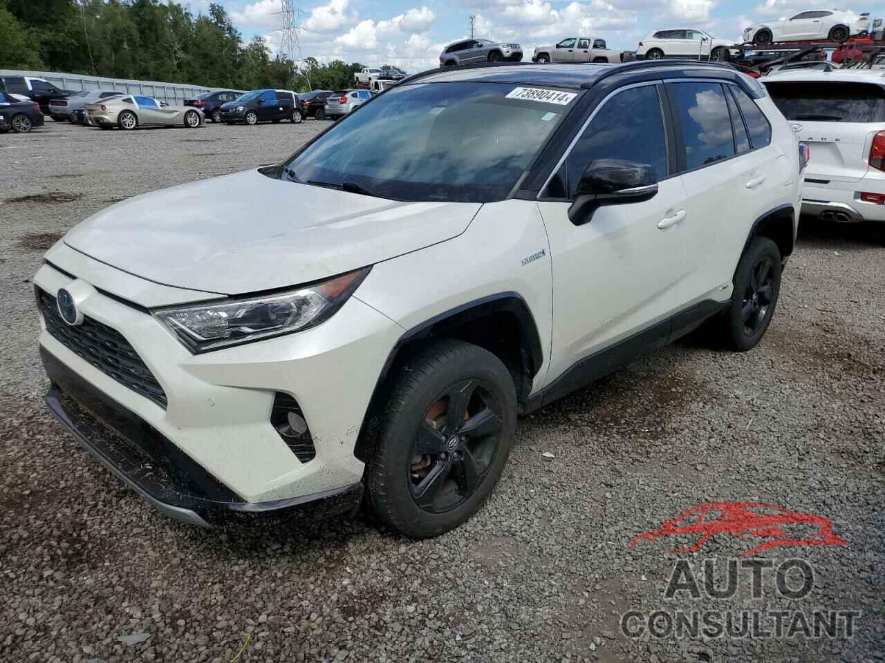 TOYOTA RAV4 2021 - 2T3E6RFV7MW002647