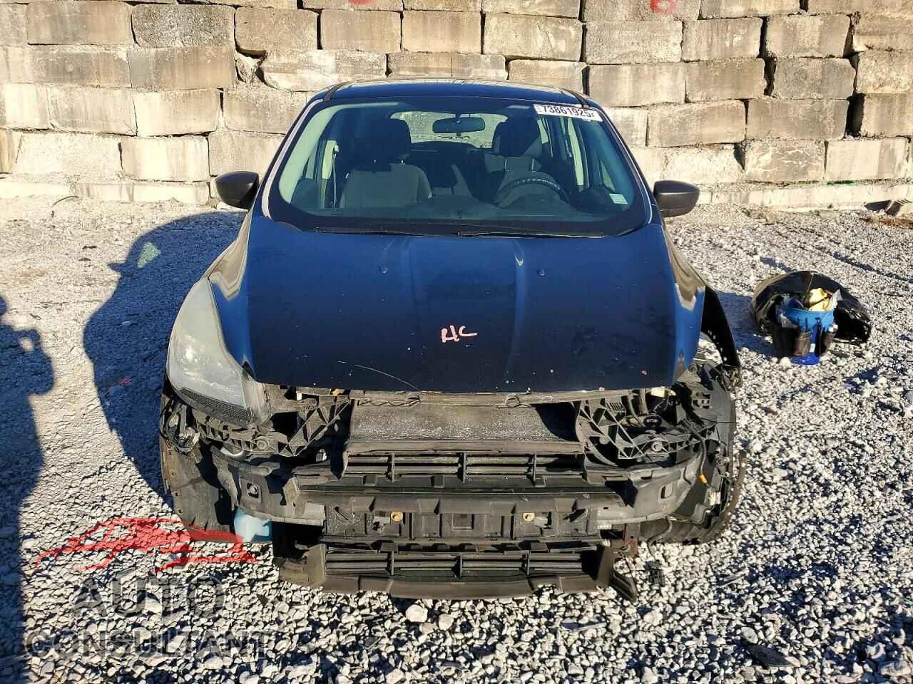 FORD ESCAPE 2013 - 1FMCU0F73DUB62284