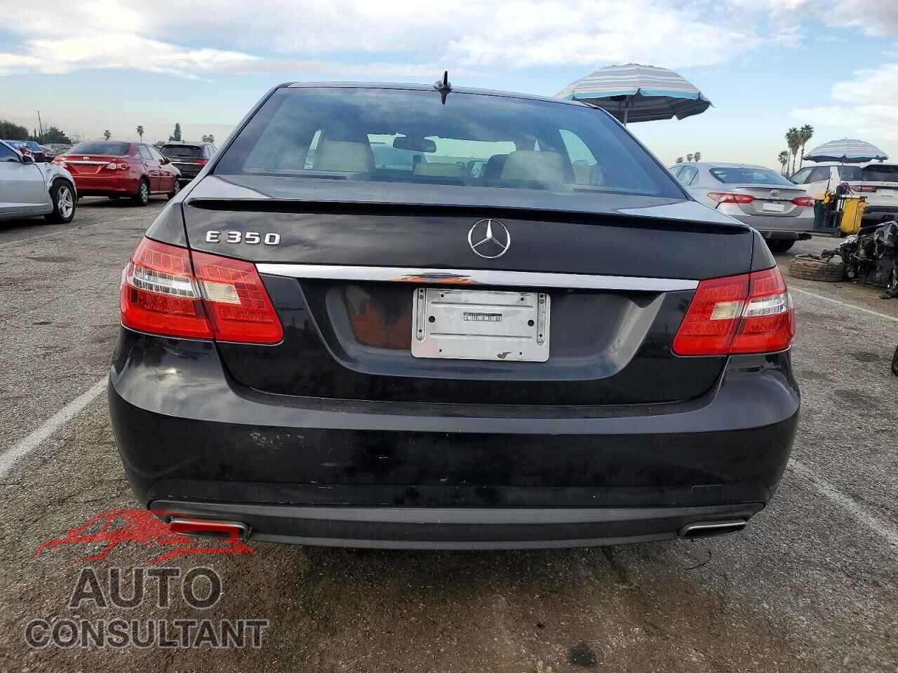 MERCEDES-BENZ E-CLASS 2010 - WDDHF5GB3AA255572