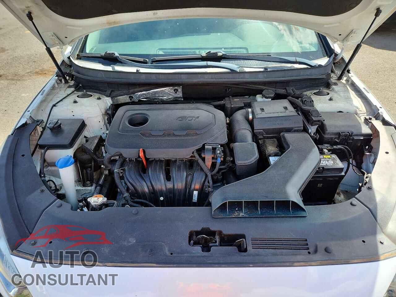 HYUNDAI SONATA 2019 - 5NPE24AF7KH804179