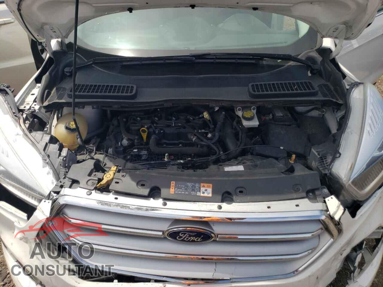 FORD ESCAPE 2019 - 1FMCU9HD0KUC32649