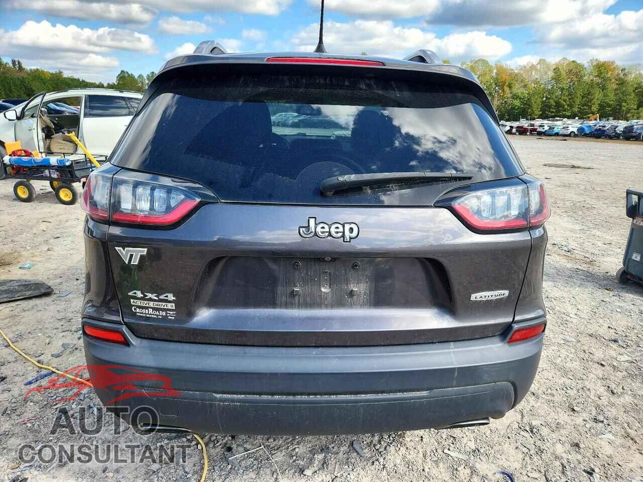 JEEP CHEROKEE 2019 - 1C4PJMLN1KD190090