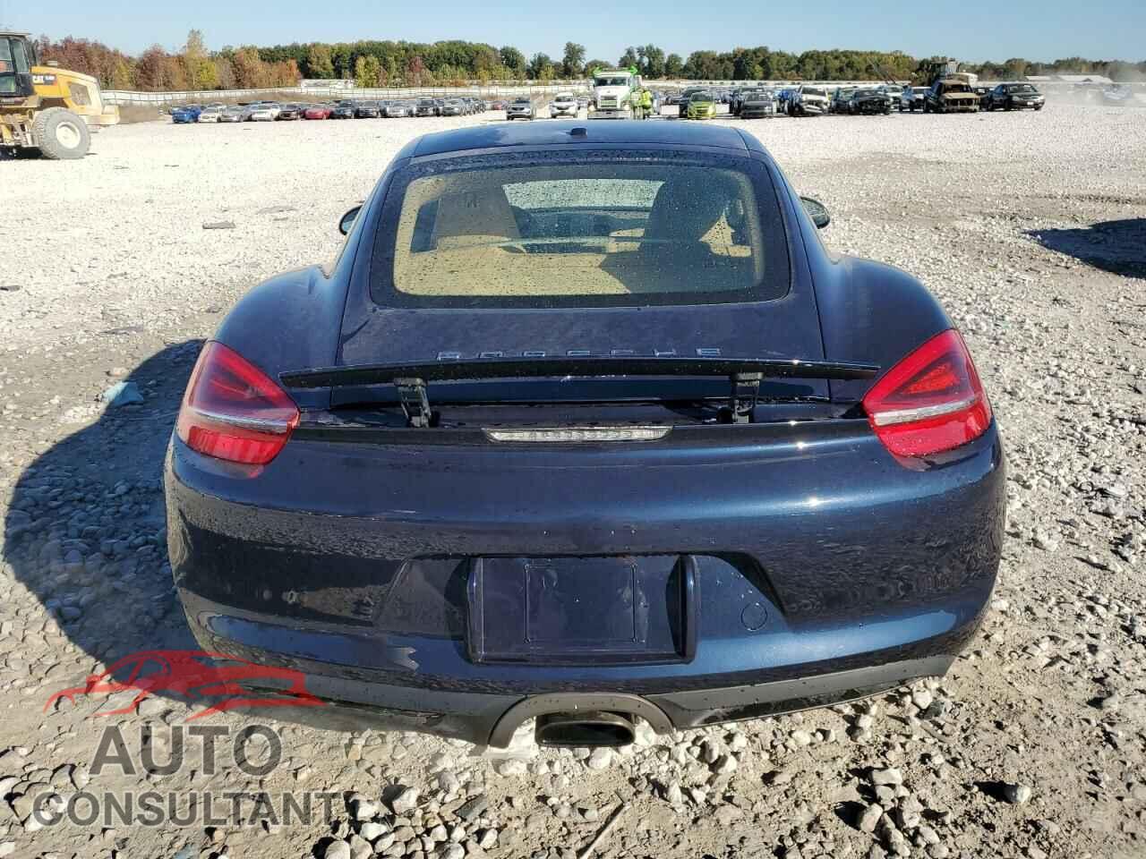 PORSCHE CAYMAN 2014 - WP0AA2A8XEK173067