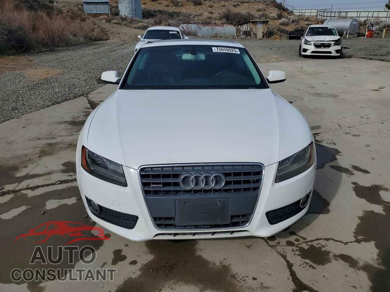 AUDI A5 2010 - WAULFAFR9AA048919