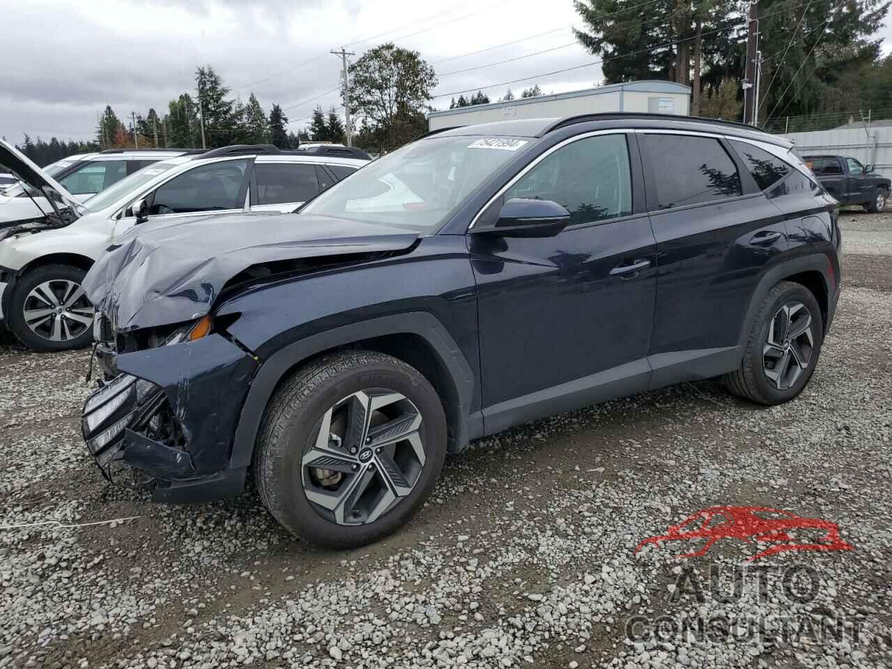 HYUNDAI TUCSON 2023 - KM8JBDA2XPU113104