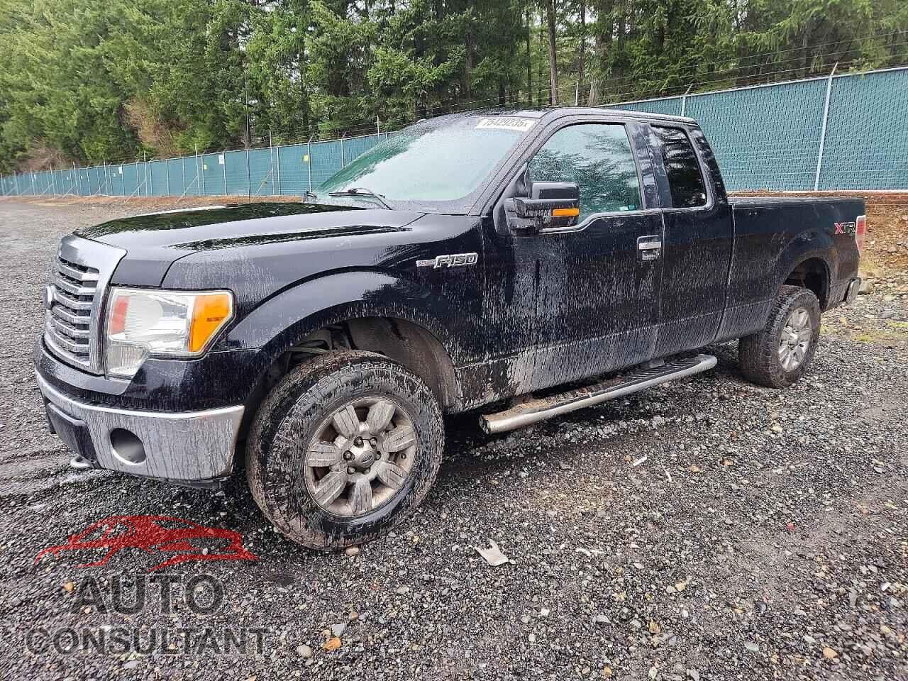FORD F-150 2011 - 1FTFX1EF8BFC68075