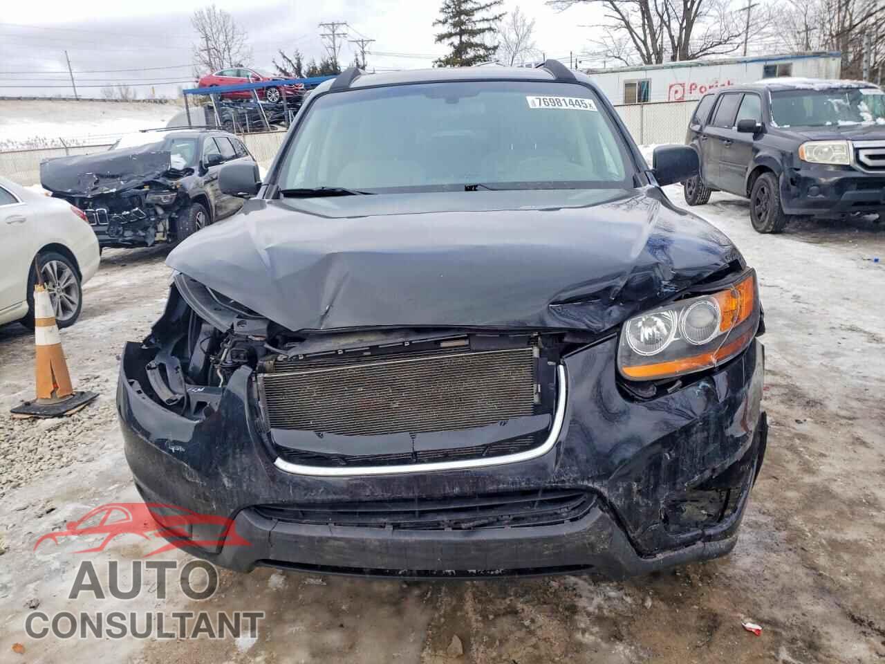 HYUNDAI SANTA FE 2010 - 5NMSGDAB5AH376237